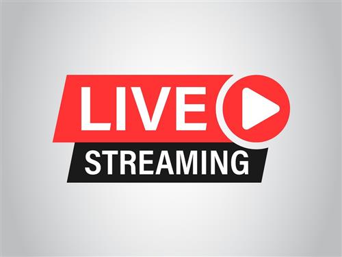 live stream